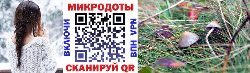 Псилоцибиновые грибы Magic Shrooms  Поворино 